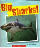 Big Sharks!